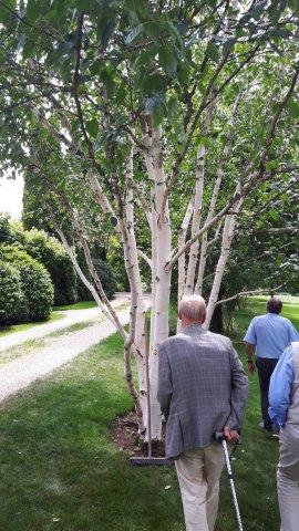 2017_06_21doschka_garten100.jpg